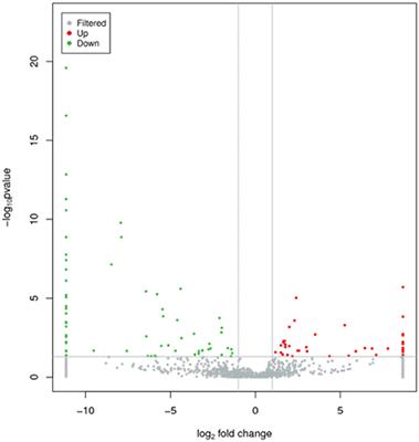 Corrigendum: Deep sequencing of plasma exosomal microRNA level in psoriasis vulgaris patients